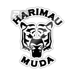 Harimau Muda B