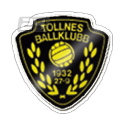 Tollnes BK