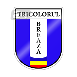 Tricolorul Breaza