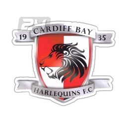 Cardiff Grange H'quins